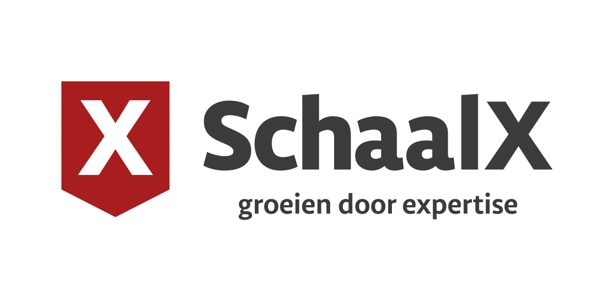 Logo - SchaalX